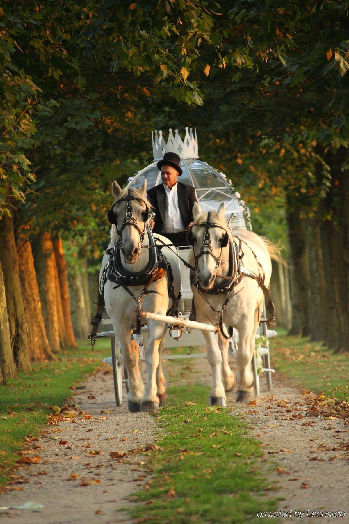 Oheka Castle Hotel & Estate Huntington Bagian luar foto