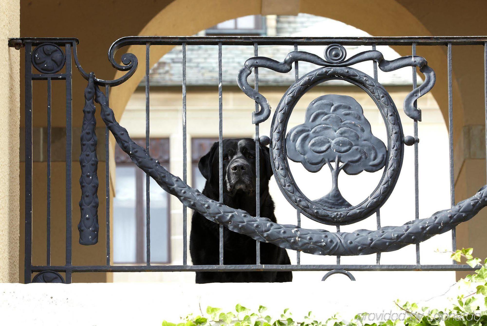 Oheka Castle Hotel & Estate Huntington Bagian luar foto